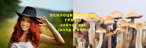 МДМА Абаза