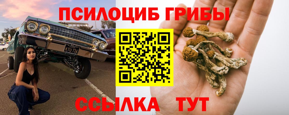 Галлюциногенные грибы Magic Shrooms Аксай
